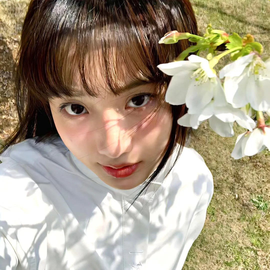 巨蝇